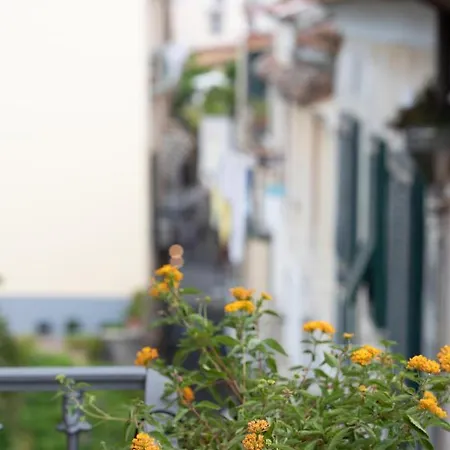 Sami Apartment Sorrento