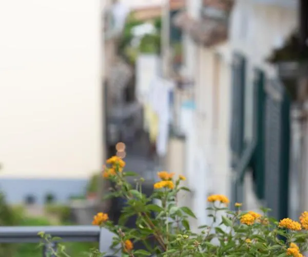 Sami Appartement Sorrento